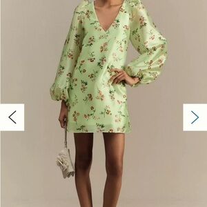 Anthropologie Light Green Floral Long Sleeve Dress